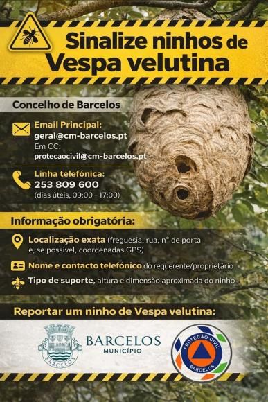 Vespa Velutina - Informa&ccedil;&atilde;o do Munic&iacute;pio de Barcelos